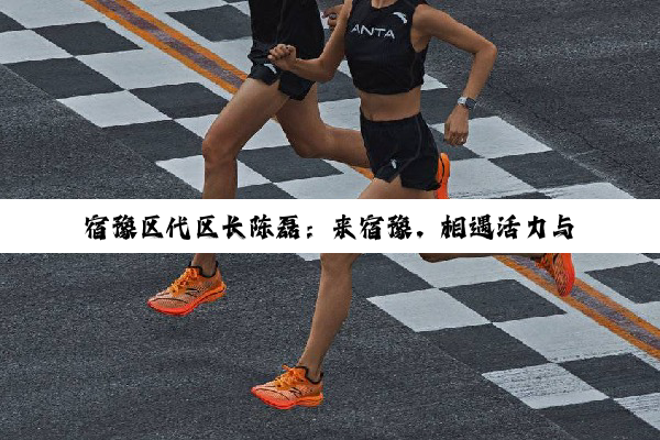 宿豫区代区长陈磊:来宿豫,相遇活力与美好