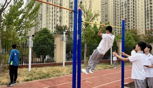 课后自由练习